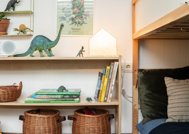 książki o dinozaurach