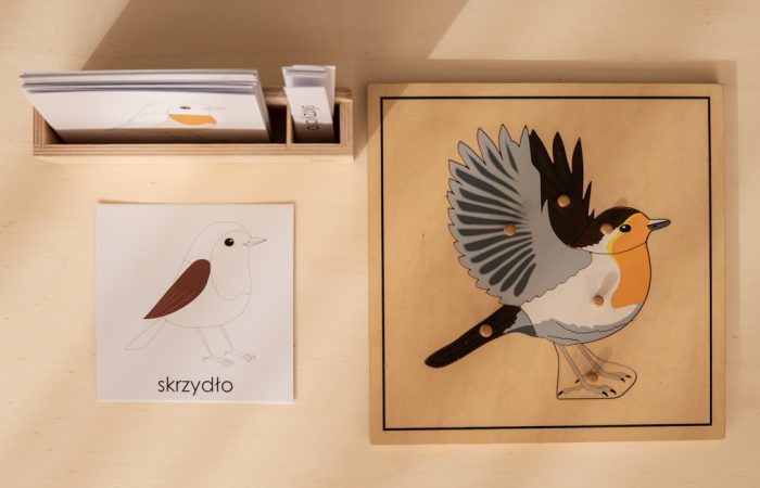 Montessori przy kawie edukacja kosmiczna