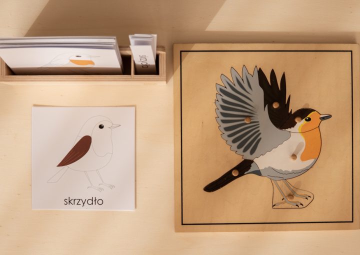 Montessori przy kawie edukacja kosmiczna