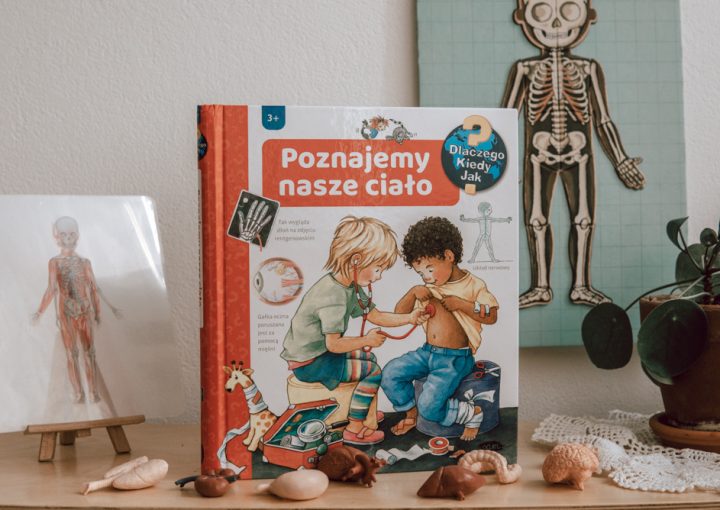 Poznajemy nasze ciało