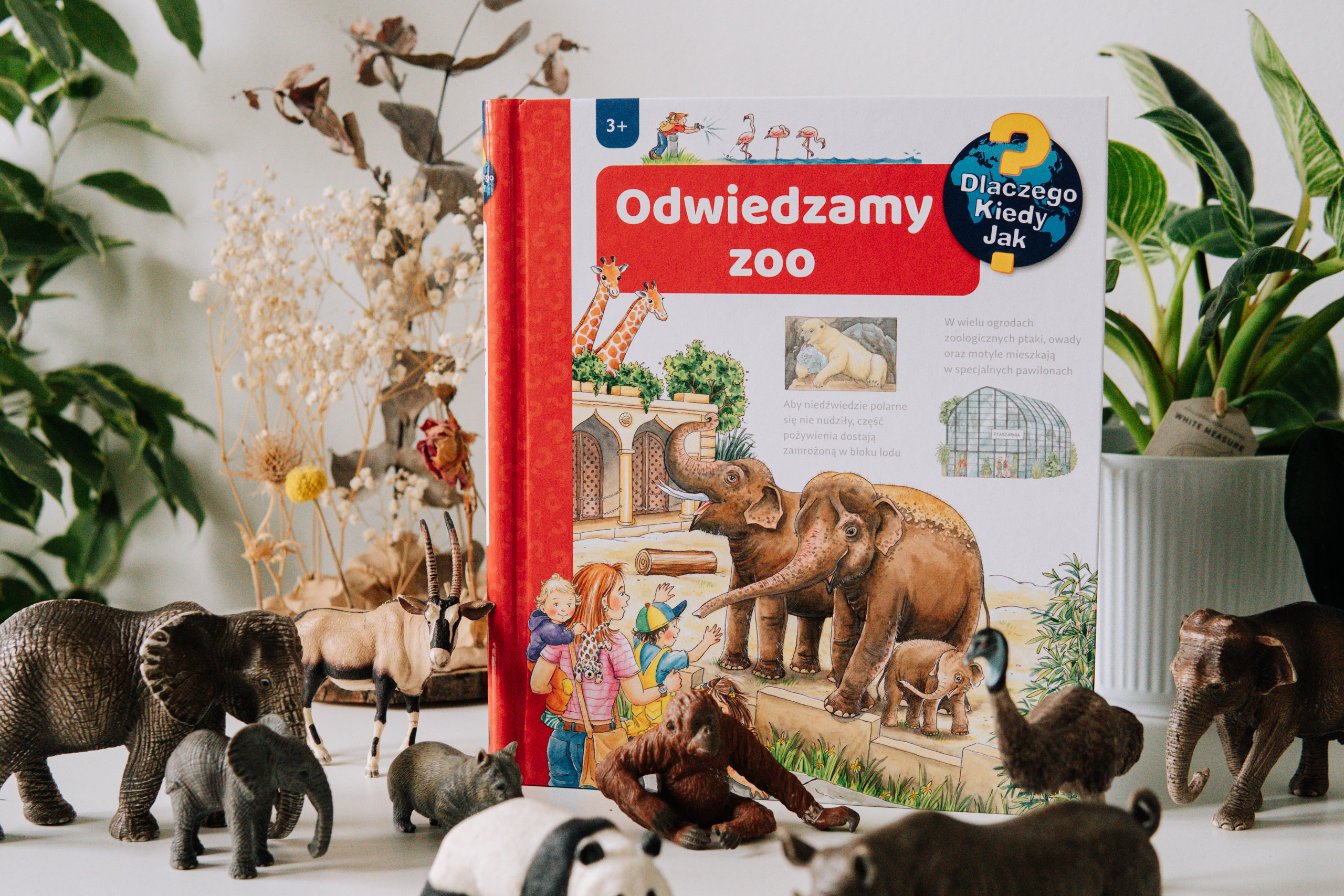 odwiedzamy zoo