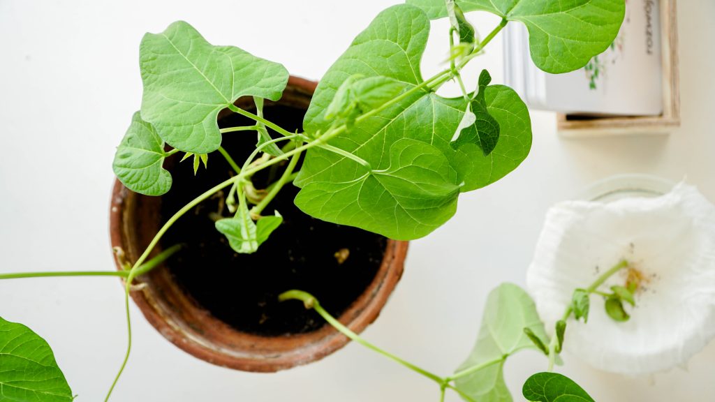 wiosenne aktywności
