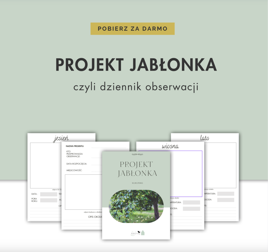 wiosenne aktywności